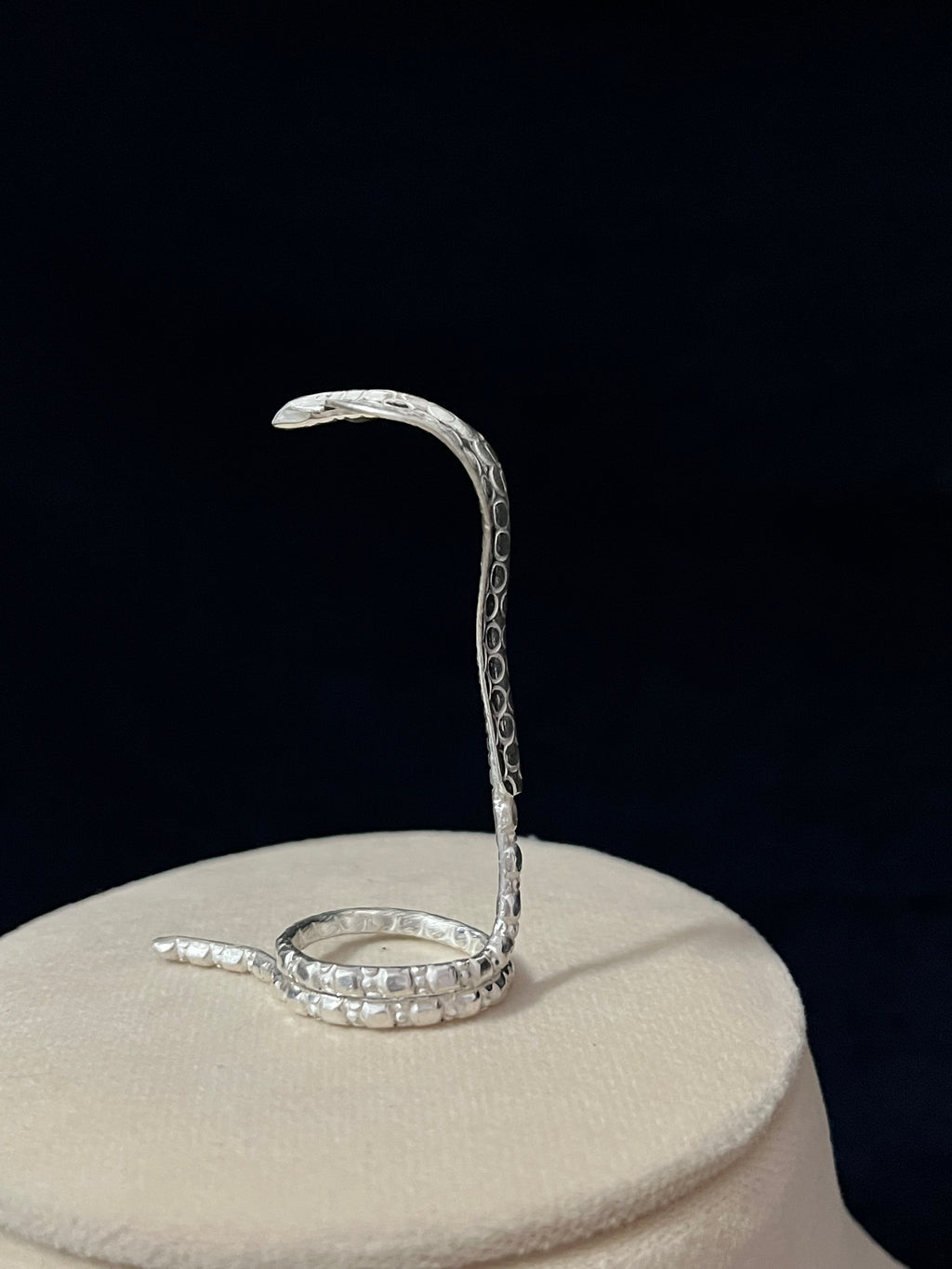 Sterling Silver Snake for Shivling