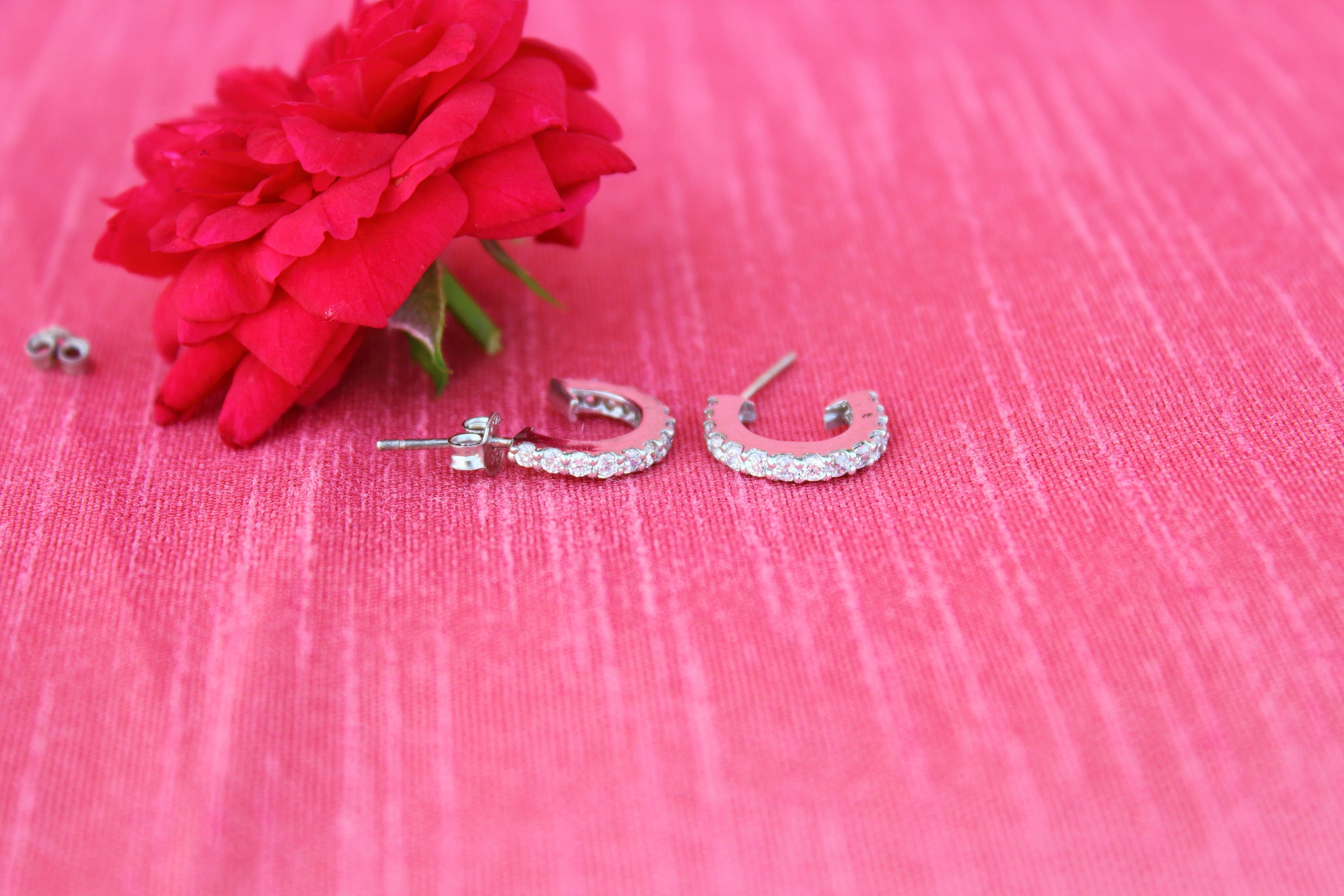 Zircon studded half ring studs