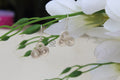 Tri Spiral earrings